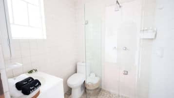 Shower, hair dryer, shampoo