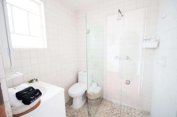 Shower, hair dryer, shampoo