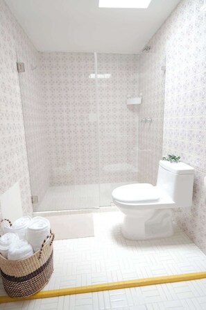 Shower, hair dryer, shampoo