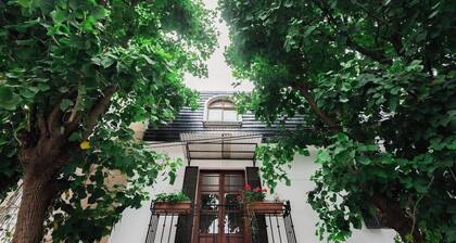 Designer House: Luxury & Style