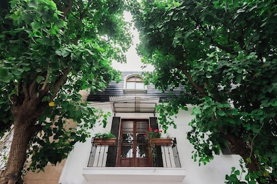 Designer House: Luxury & Style