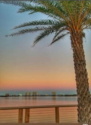 Property grounds - Coastal Oasis: Spacious 4 bedroom retreat w/ pool (South Daytona)