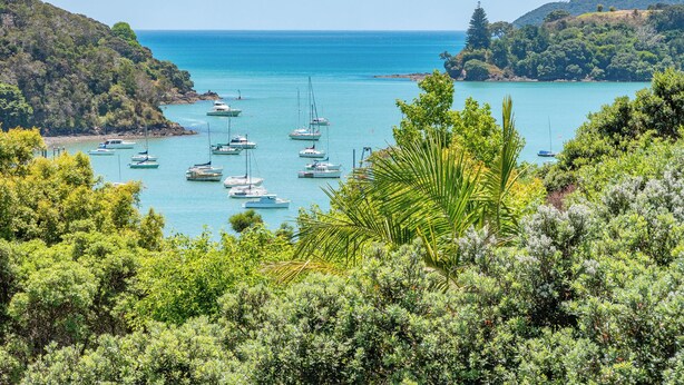 A coastal landscape with multiple boats anchored in calm waters, surrounded by lush greenery and hills. - Serenity Hills - Mangonui Holiday Home (Mangonui)