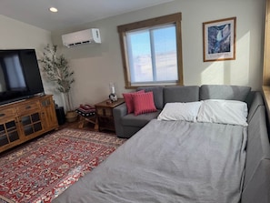 A room with a bed, a sofa, a TV, a wooden cabinet, a plant, and a window with blinds.