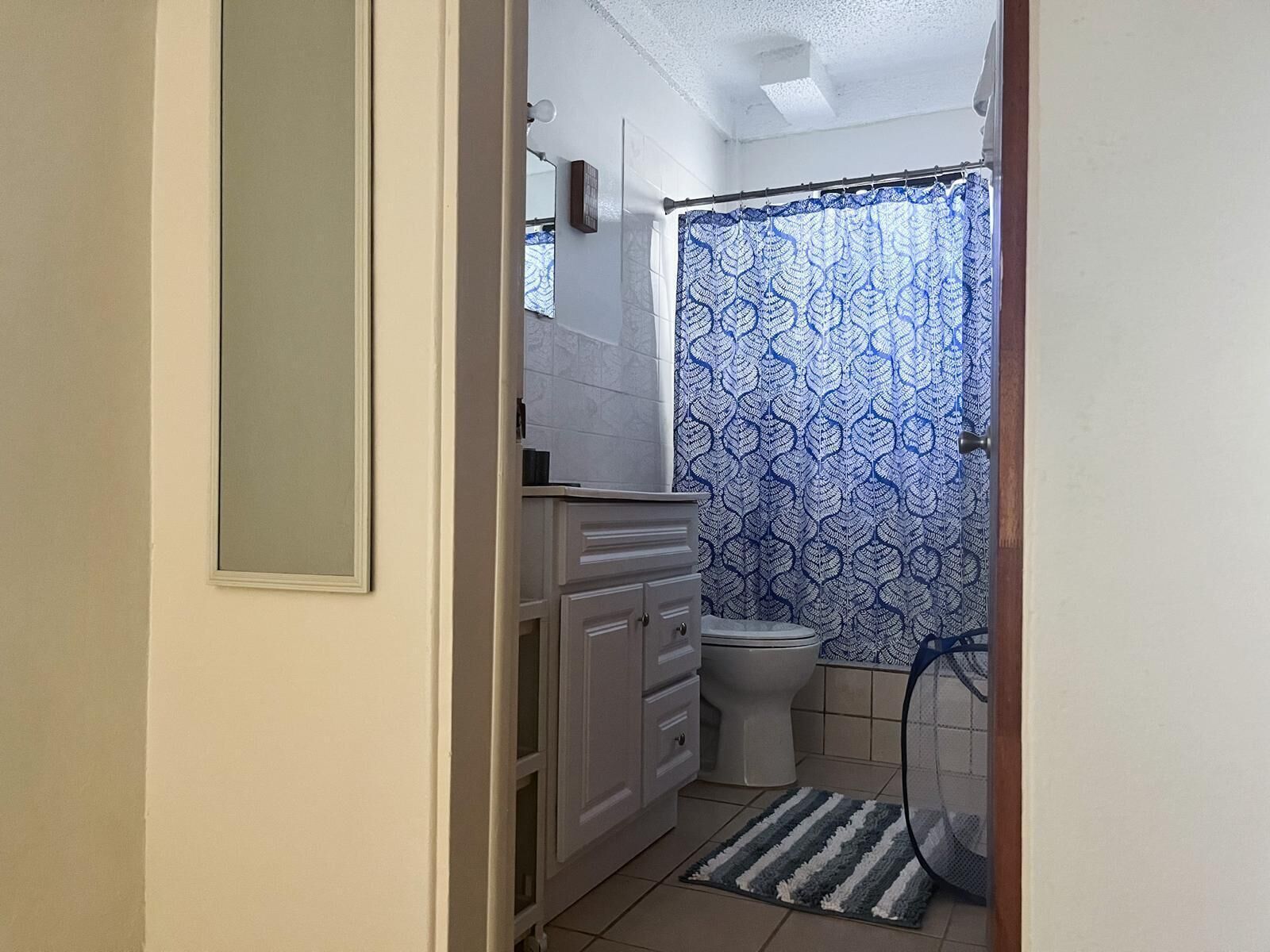 Hair dryer, towels, soap, shampoo