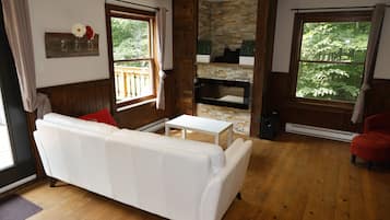 TV, fireplace, table football, books