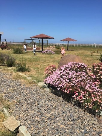 Property grounds. Cabañas del Faro