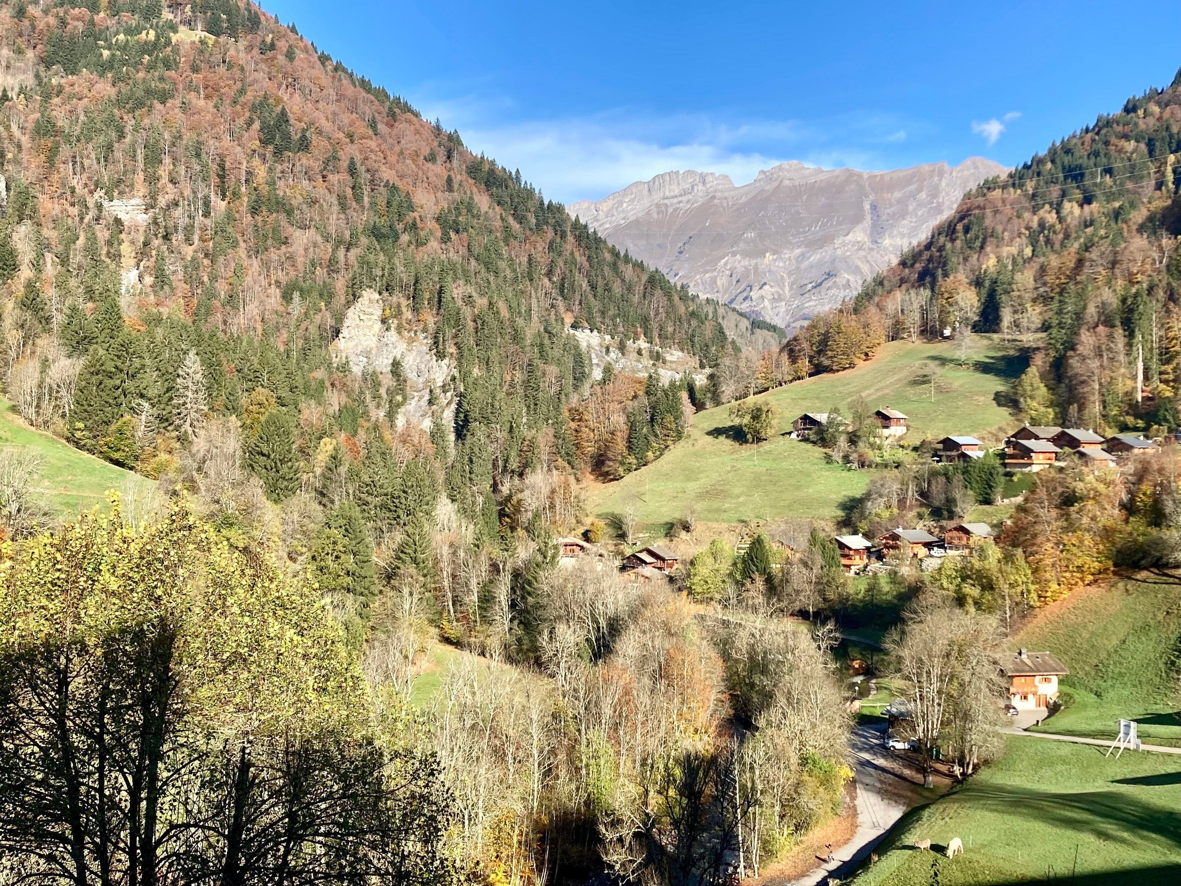 Ein dörfliches Bergdorf mit Häusern, die in den Hang gebaut sind, umgeben von dichten Wäldern und felsigem Gelände.