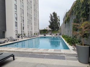 A rectangular swimming pool with lounge chairs and a potted plant. - Amazing new apartment near Andares 310A (Zapopan)