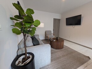 Un salon moderne avec un canapé gris, une table basse ronde, une plante en pot et un téléviseur à écran plat fixé au mur.