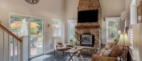 TV, fireplace, books, computer monitors