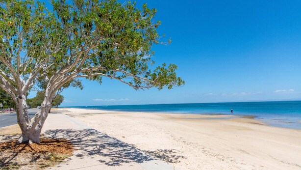 A beach with a large tree providing shade, a clear blue sky, and a calm sea. - Nelly's Hidden Cottage (BONGAREE)
