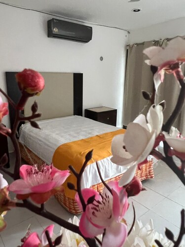 El Cedro 1 Apartments 