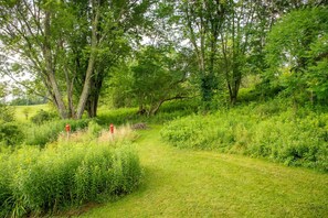 Terrain de l’hébergement 