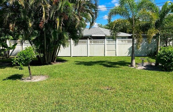 A well-maintained backyard with a white fence, a small tree, and a palm tree. - Charming 2 bed, 2 bath house, with den.  Screened lanai, 1.5 miles to the beach (Bonita Springs)