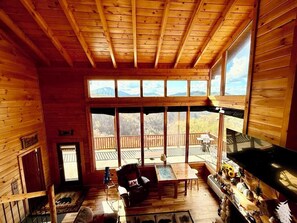 Smart-tv, pejs, videospil, bøger