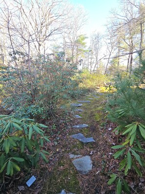 Property grounds - Mountain View Chalet in Boone -10 min. to ASU & Downtown; Pet-Friendly (Boone)