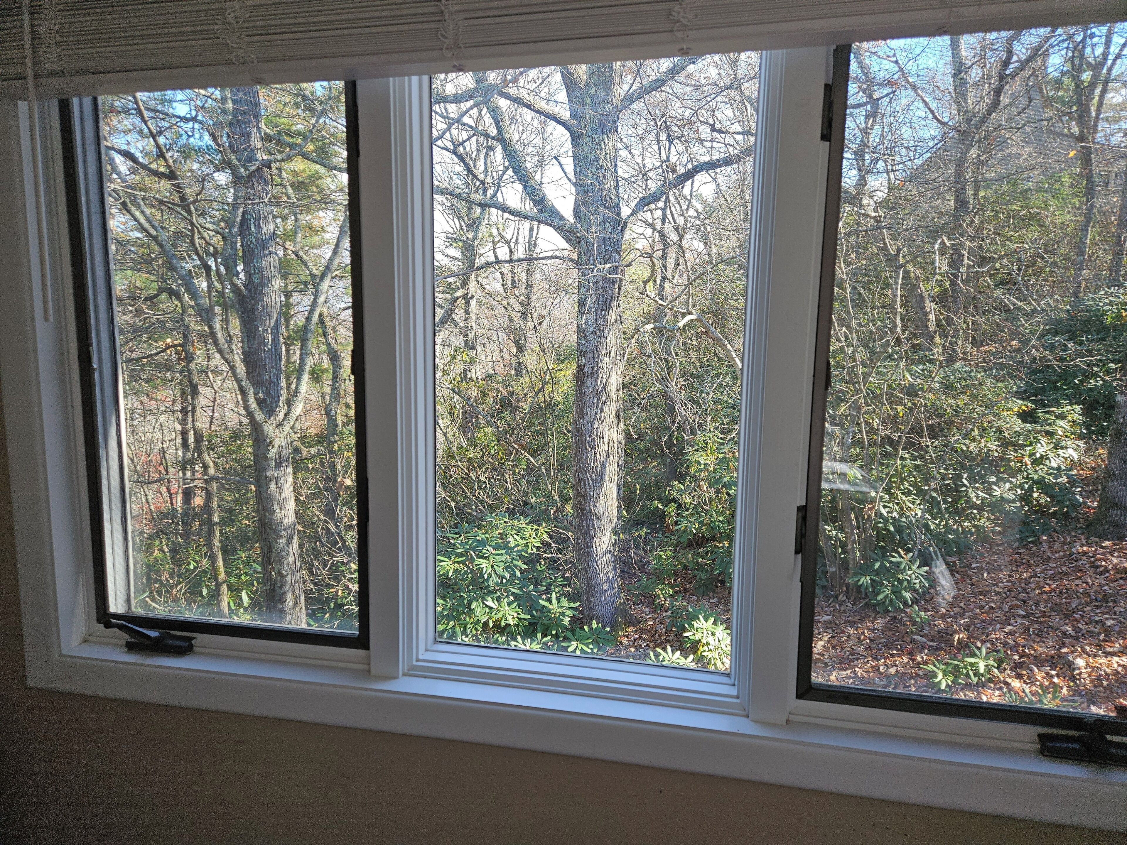 A window with a view of a forested area.