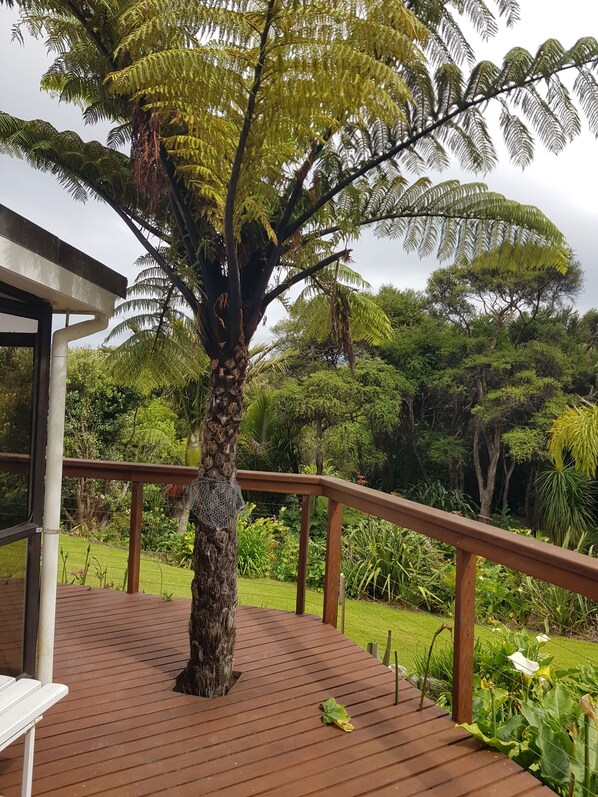 A wooden deck with a large tree in the center, surrounded by lush greenery.