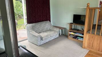 Smart TV, fireplace, books