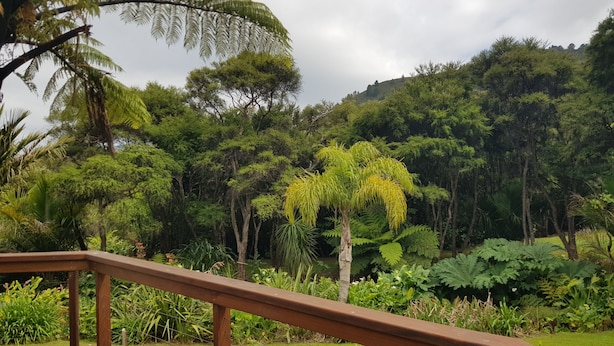 A wooden deck with a metal railing overlooking a lush garden with various plants and trees. - Remote Pelorus Sound Kiwi Bach on the Beach with Great Views (Totaranui)