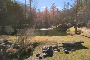 Property grounds - Serene Cabin Overlooking Trout Pond on 66 Acres (Brevard)