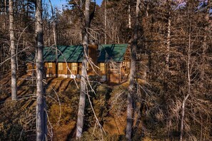 Exterior - Serene Cabin Overlooking Trout Pond on 66 Acres (Brevard)
