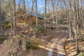 Exterior - Serene Cabin Overlooking Pond on 66 Acres (Brevard)