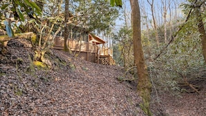 A wooden cabin with a deck, surrounded by a forested area with leaf-covered ground.