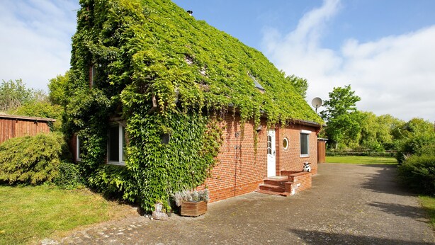 A brick house with ivy covering the roof, a satellite dish, and a small porch with steps. - Holiday Home 'Gerda' with Private Terrace, Private Garden and Wi-Fi (Stadum)