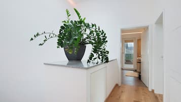 Sisätilat