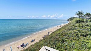Uma praia com fileiras de cadeiras de praia azuis e uma área gramada com árvores.