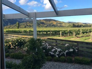 A vineyard with rows of grapevines and a wooden fence. - Riverbank Cottage (Rapaura)