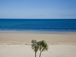 A beach with a clear sky, calm sea, and a single palm tree in the foreground. - 1 bedroom accommodation in Carbis Bay, near St Ives (Carbis Bay, near St Ives)