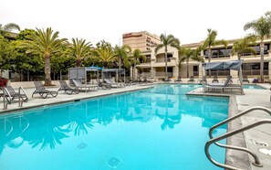 Pool - Charming 2-bedroom apartment with WiFi in fabulous Marina del Rey (Marina del Rey)