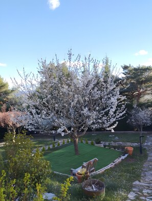 Overnattingsstedets uteområder