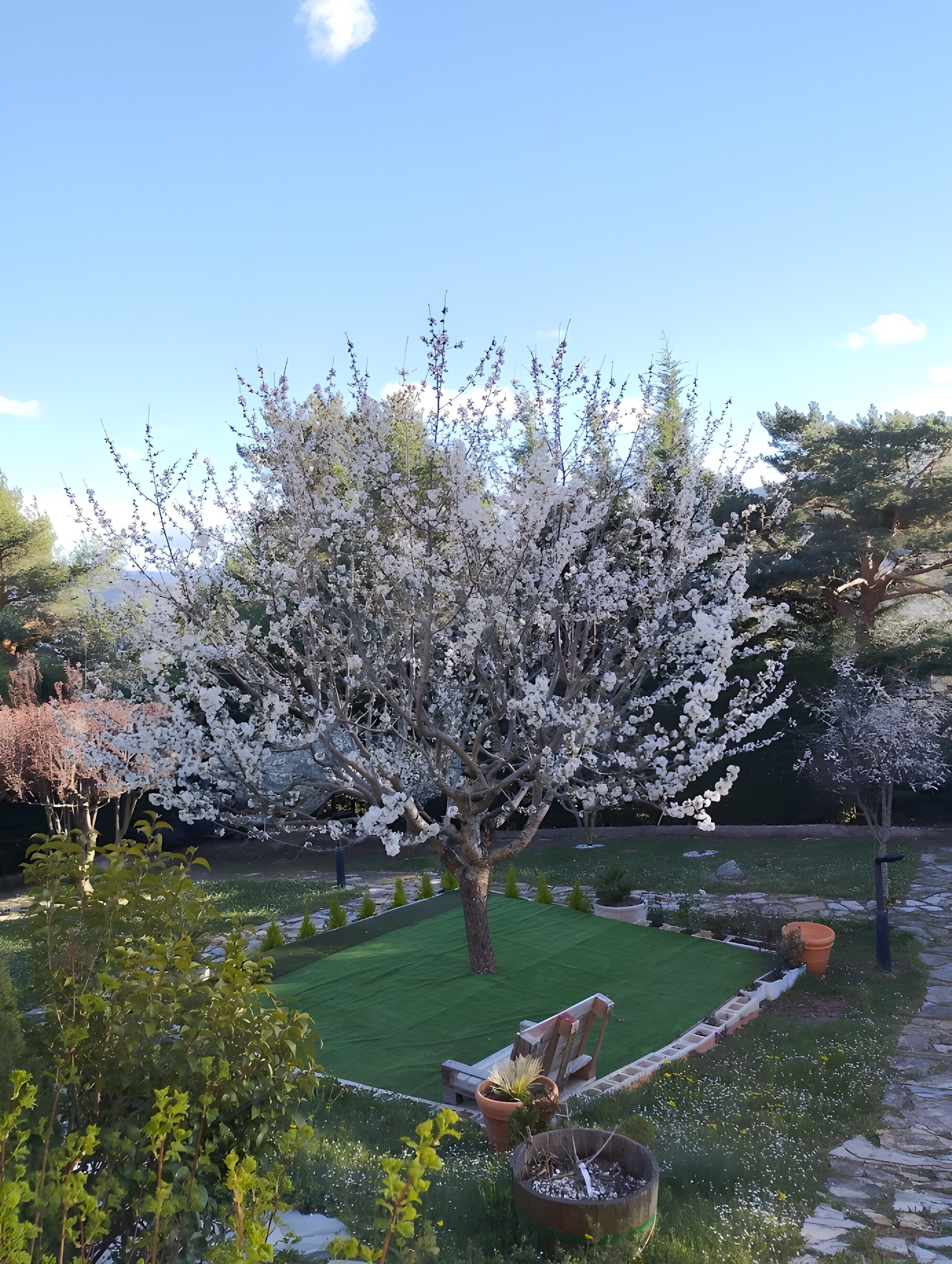 Terrein van de accommodatie