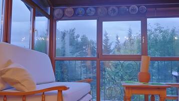 Chimenea, reproductor de DVD, estéreo