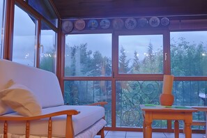 Chimenea, reproductor de DVD y estéreo 