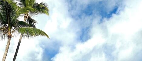 Solsenger og strandhåndklær