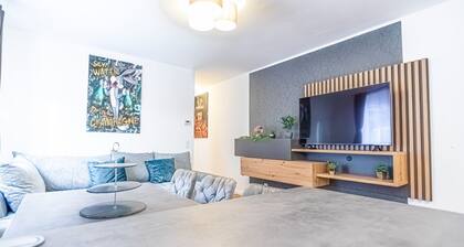 Spacious 2BR and 1LR Apartment, Around Donaustadt
