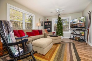 Smart TV, fireplace, DVD player, books
