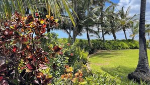 Un jardín tropical con palmeras y un césped bien cuidado.