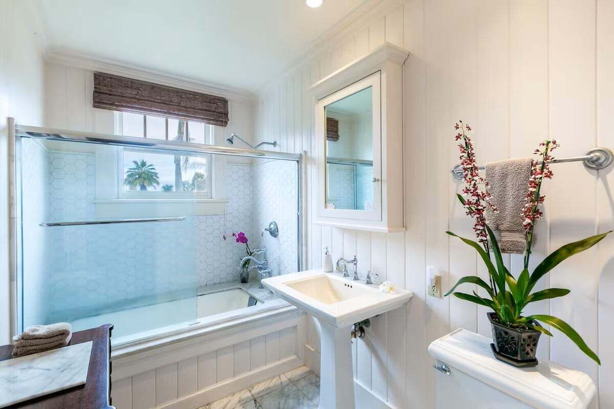 A bathroom with a glass-enclosed shower, a white sink, a toilet, and a potted plant.