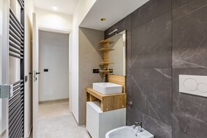 Shower, hair dryer, bidet, towels