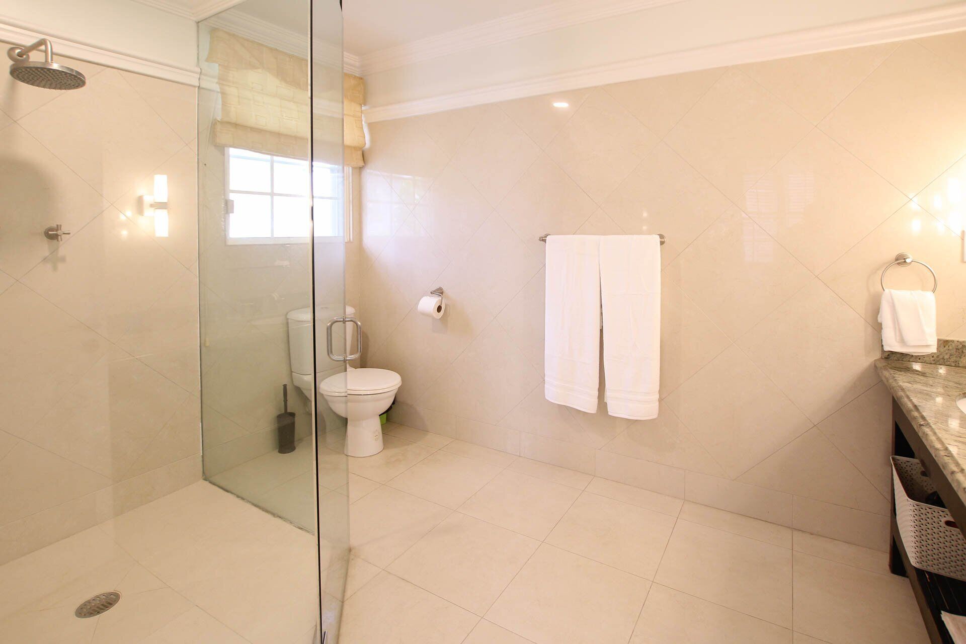 A modern bathroom with a glass-enclosed shower, a toilet, and a marble sink.