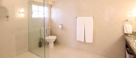 A modern bathroom with a glass-enclosed shower, a toilet, and a marble sink.