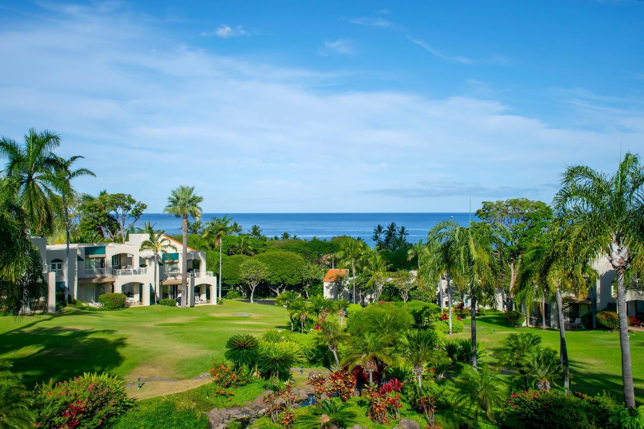 A resort with a lush garden, palm trees, and a view of the ocean.