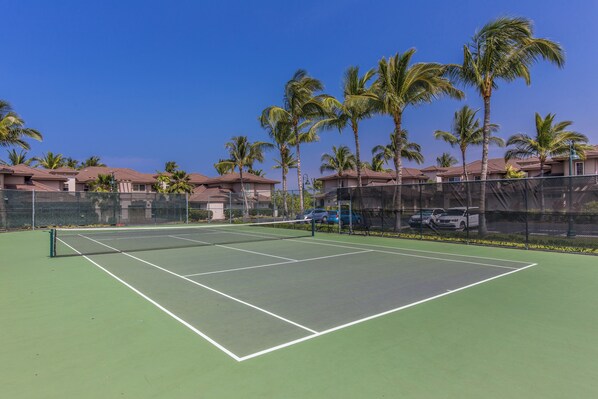 Un court de tennis entouré de palmiers et de maisons.