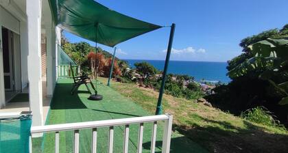 Magnifique vue sur port et iles